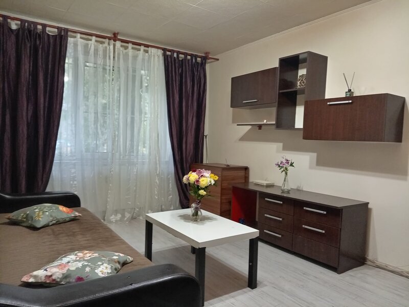 Pantelimon la Piata Delfinului