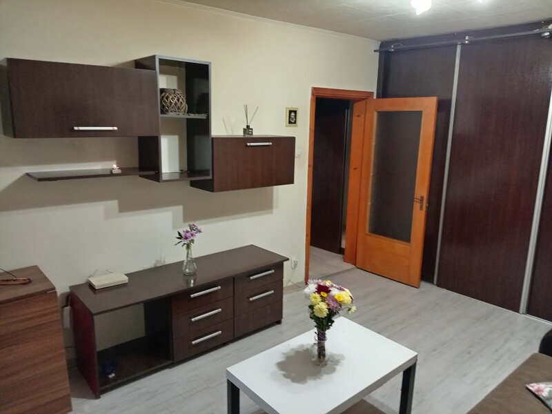 Pantelimon la Piata Delfinului