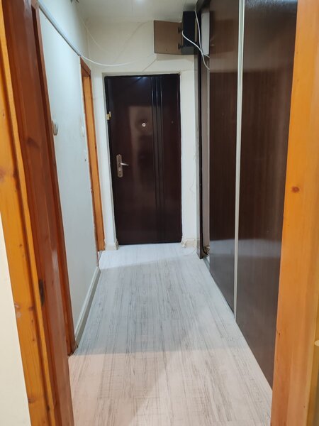 Pantelimon la Piata Delfinului