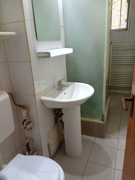 Pantelimon la Piata Delfinului