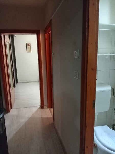 Pantelimon la Piata Delfinului