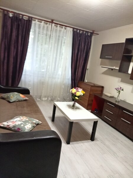 Pantelimon la Piata Delfinului